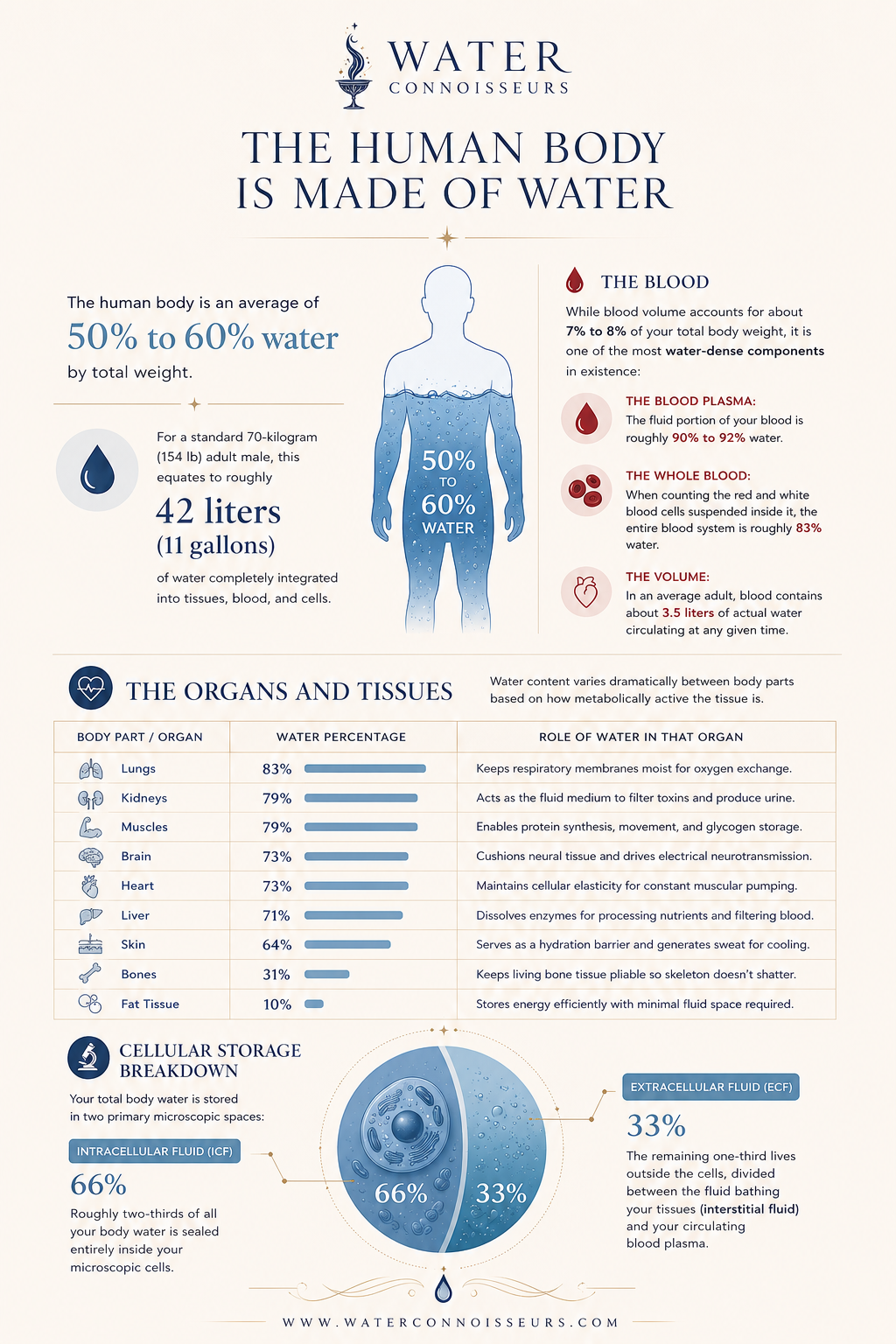 Water Connoisseurs infographic — The Human Body Is Made of Water, showing 50–60% water composition, blood plasma, organ water percentages, and cellular storage breakdown