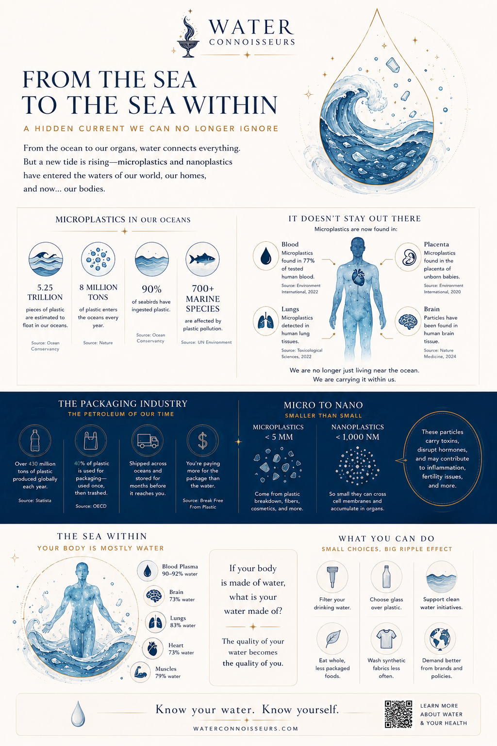 Infographic: From the sea to the sea within — microplastics in our oceans, the packaging industry, and the water inside the human body